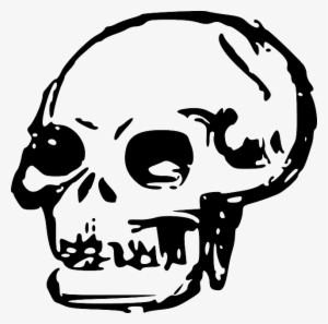 Head, Dead, Skull, Human, Bones, Skulls - Skull Clip Art Png #950879