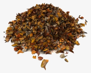 Rummage Sale Pile Of Leaves Png - Dried Leaves 3d Model #952240