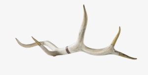 Deer #952377