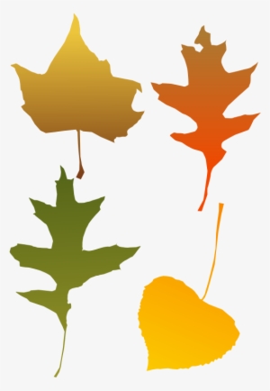 Autumn Leaves - Autumn Leaf Clip Art #952434
