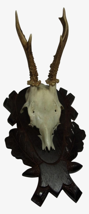 Vintage German Deer Antler Black Forest Wood Base - Reindeer #952676