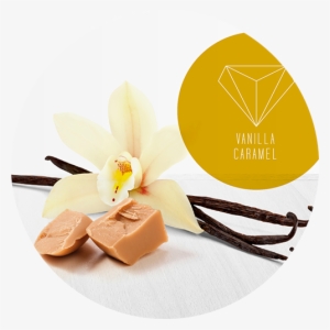 Piper And Grace Hand Poured Candlespiper And Grace - Chobani Vanilla Yoghurt Pouch 140g #953089