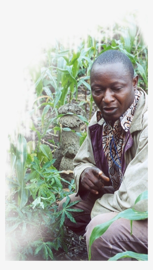 African Agribusiness And Trade Conference - Trade #953430