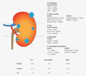 Uro-oncology - Blog #953537