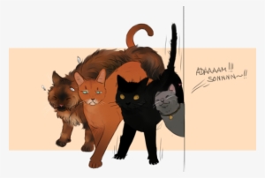 Furridah Malik , Likes To Play With Birds, Climbs Stuff - Black Cat #954691