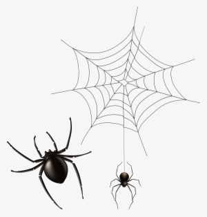 Cobweb Png #954717