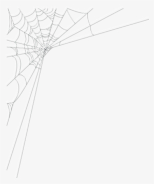 Cob Web Png Png Royalty Free Library - Spider Web #954788