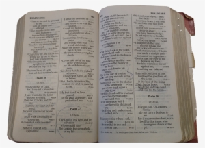 Some Of The Books In The Bible Near The End Were Separating #956410