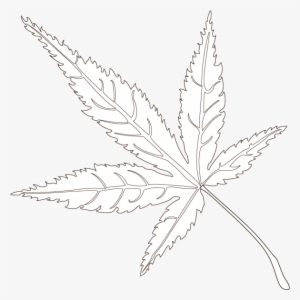 Color The Leaves To Understand The Shades Of Fall - Maple #956554