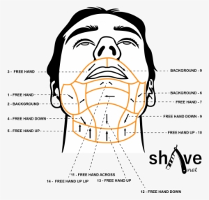 In Fact, Some Individuals May Have Cow-licks And The - Properly Shave Your Face #956821