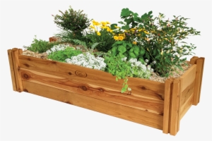 Raised-bed Gardening #957349