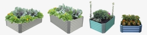 Vegetable Garden Png - Raised-bed Gardening #957407