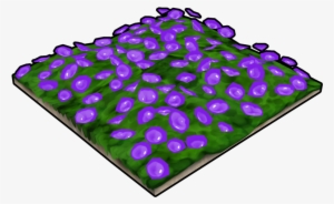 Purple Flower Bed - Wikia #957411