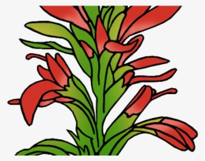 Indian Paintbrush Cliparts - Indian Paintbrush Outline #957558