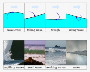 Waves Printout - Sea #957606