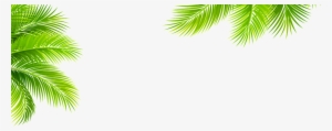 Transparent For Tropical Plant Elements - Green Leaf Pattern Png #958379