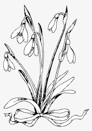 Dibujo De Flor Copo De Nieve Para Colorear - Drawing #959568