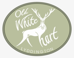 Old White Hart Lyddington #959982