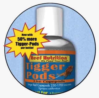 Live Tigriopus Californicus Copepods Easy To Culture - Reef Nutrition #9500217