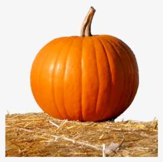 Pumpkin, Straw, Isolated, Fruit, Deco, Orange, Nature - Pumpkin In Straw #9502503