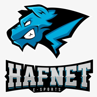 Bo3 1 - Hafnet Esports #9505141