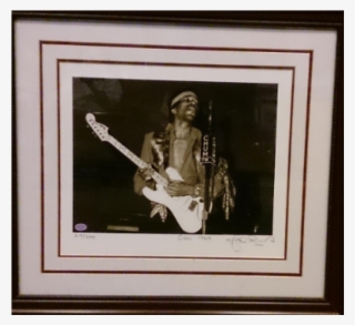 Picture Frame #9505529