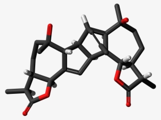 Absinthin 3d Skeletal Sticks #9505654