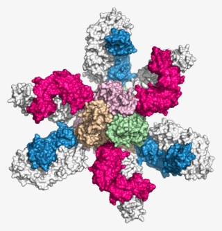 Bio-whatwedo2 - Flower #9506366 Bio-whatwedo2 - Flower #9506366