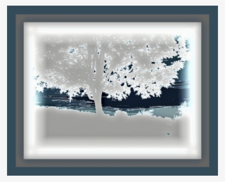 Abstract - Picture Frame #9506699