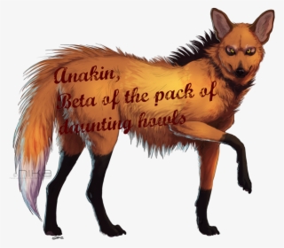 Anakin Png - Mane #9506862