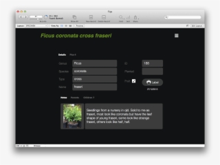 Fig Database Detail View - Software Surround Sound Mac #9507669