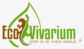 Eco Vivarium #9508529