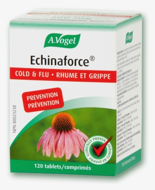 Made With 400 Mg Of Fresh Echinacea Tincture Per Tablet - Echinaforce Shoppers Drug Mart #9510100