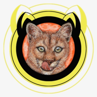 “enigma“ - The Cougar - Domestic Short-haired Cat #9511768