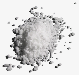 Salty Oceans - Monochrome #9513096