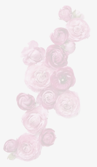 The Ultimate Floral Experience - Garden Roses #9513253