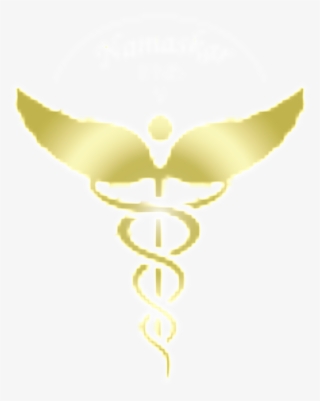 Emblem #9513299