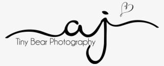 Tiny Bear Copy Logo - Photographer #9513446