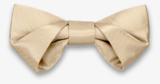 Folding In Champagne Gold Bow Tie - Formal Wear #9514013