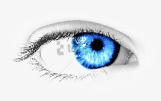 Free Png Eye Psd Png Image With Transparent Background - Eyes With Transparent Background #9514652