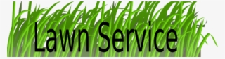 Lawn Service Business Basics What Not To Do - Grass #9514738
