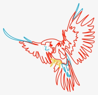 Parrot - Illustration #9515834