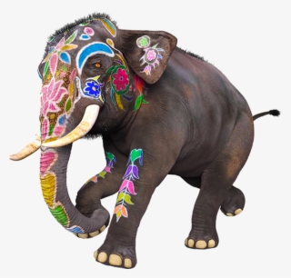 Hands On Workshops, Live Demos, Exhibition And Cake-craft - Indian Elephant #9516856