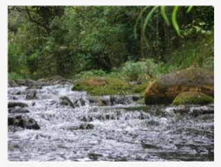 Hawaiian Home Nestled In Beauty Near Waterfalls - Tributary #9517144