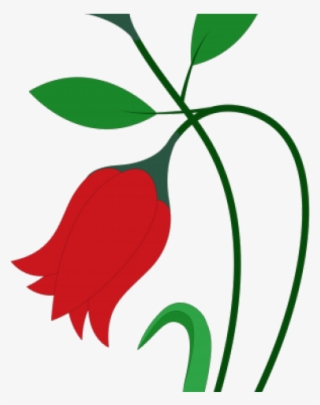 Flowers Vectors Png Transparent Images - Rose Flowers For Drawing #9517640