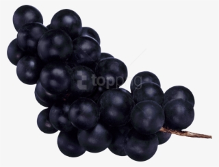 Free Png Download Black Grapes Png Images Background - Темный Виноград Png #9517706