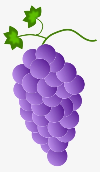 1368 X 2356 2 - Grapes Color #9517757