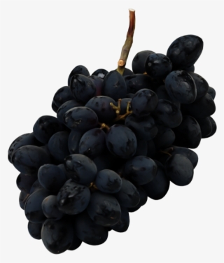 Red And Black Grapes - Seedless Fruit #9517794