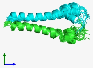 Pdb 2ka1 Coloured By Chain And Viewed From The Front #9517960