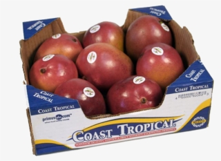 Natural Foods #9518044